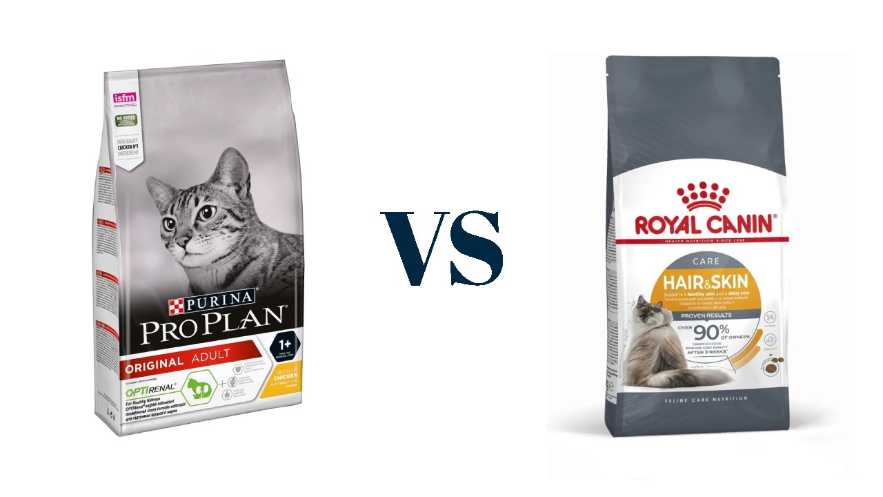 Pro plan vs Royal canin