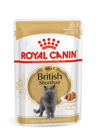 Royal Canin FBN Cat British Shorthair Gravy