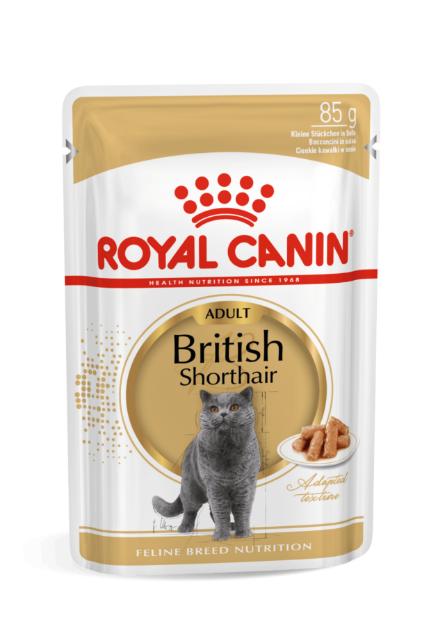 Royal Canin FBN Cat British Shorthair Gravy