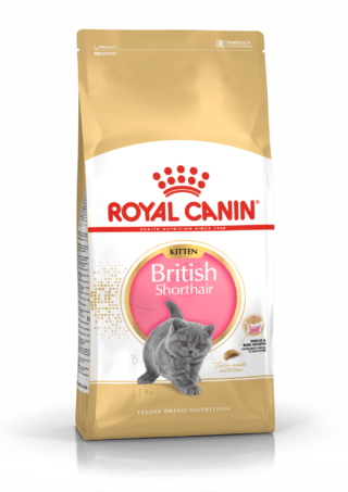 Royal Canin FBN Cat British Shorthair Kitten