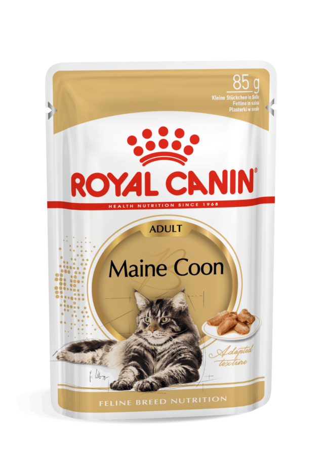 Royal Canin FBN Cat Maine Coon Gravy