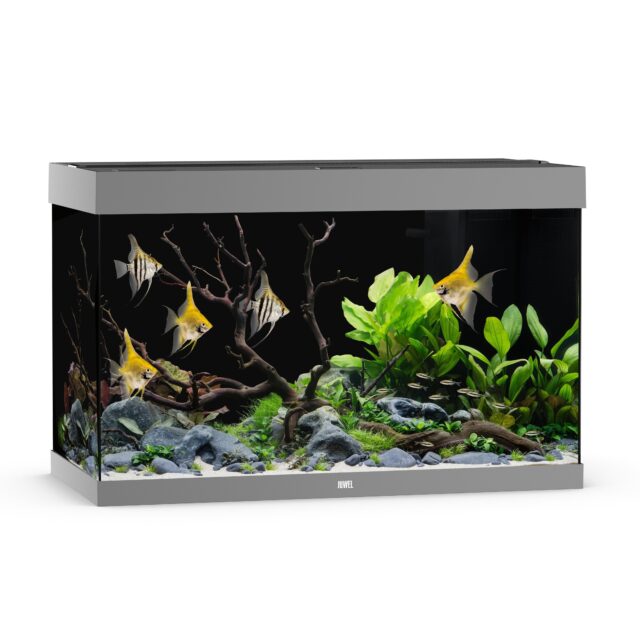 Akvaarium Rio LED 290 L hall