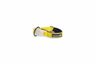BEEZTEES KOERA KAELARIHM LED + USB PARINCA 35-40CM KOLLANE