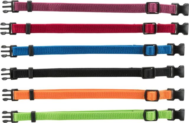 Kutsikakaelarihmade komplekt Junior, S-M: 17-25 cm/10 mm, must, punane, kuninglik-sinine, õun, papai