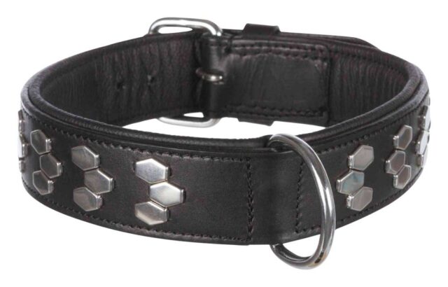 Kaelarihm Active naastudega, XL: 65–75 cm/40 mm, must