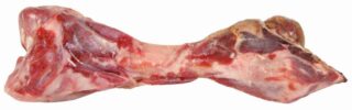Koera maius Siga sääreluu 390g