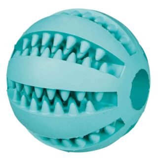 Mänguasi koertele DentaFun pall piparmündi maitsega 5cm
