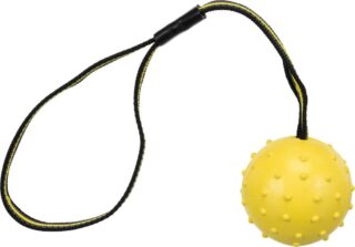 Mänguasi koertele Spordipall rihmaga, looduslikust kummist, ø 6 × 35 cm