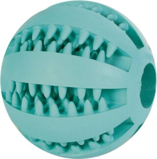 Mänguasi koertele DentaFun pall piparmündi maitsega 7cm