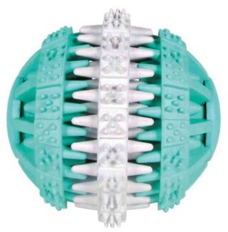 Mänguasi koertele DentaFun Pall Mint värske 6cm