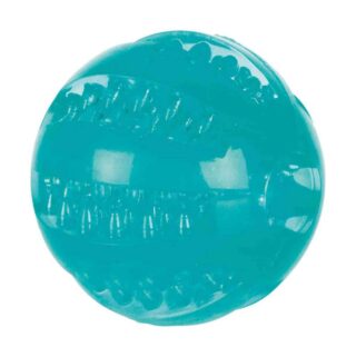 Mänguasi koertele DentaFun Pall 6cm ujuv 6cm