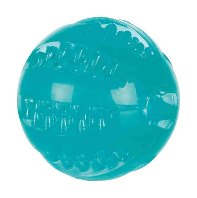 Mänguasi koertele DentaFun Pall 6cm ujuv 6cm