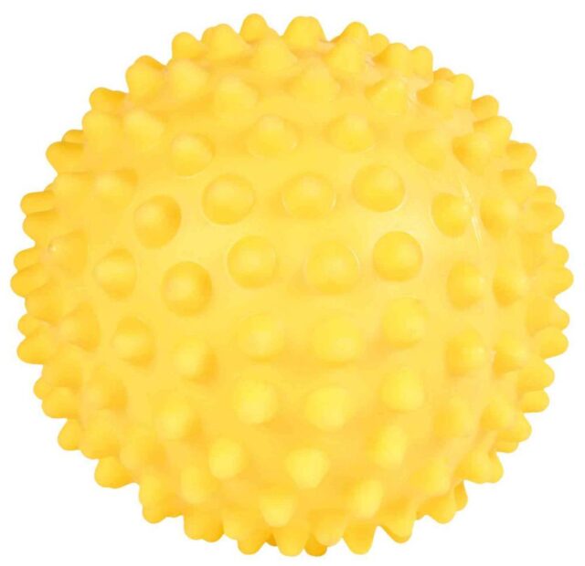 Mänguasi koertele Ogaline pall ilma helita, vinüül, ø 16 cm