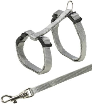 Traksid kassipoegadele rihmaga Junior, 19-31 cm/8 mm, 1,20 m