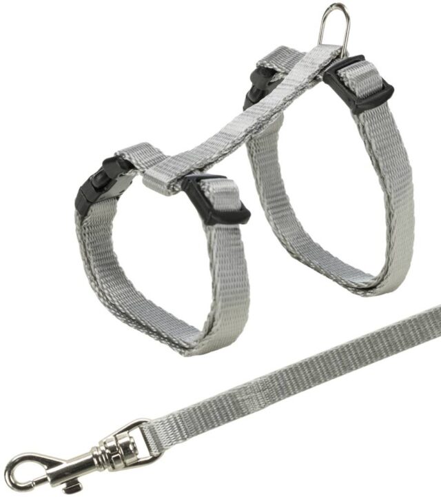 Traksid kassipoegadele rihmaga Junior, 19-31 cm/8 mm, 1,20 m