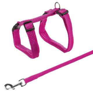 Traksid kassidele rihmaga, nailon, 22-42 cm/10 mm, 1,25 m.