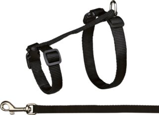 Traksid kassidele rihmaga, XL, nailon, 34-57 cm/13 mm, 1,20 m