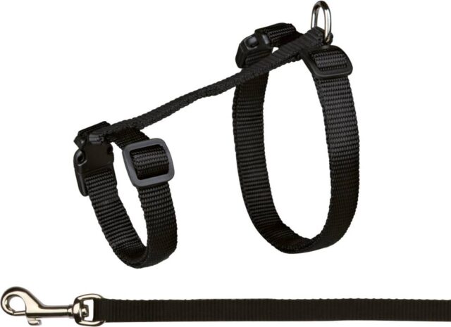 Traksid kassidele rihmaga, XL, nailon, 34-57 cm/13 mm, 1,20 m