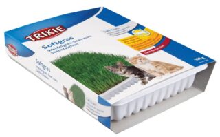Kassimuru BIO karbis 100 g