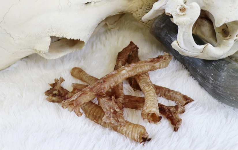 Tessa kuivatatud sea trahhea koertele 100g