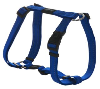Traksid H Fanbelt 20mm-3/4 sinine