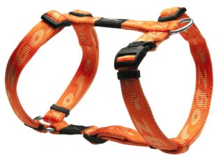 Traksid Rogz K2 20mm-3/4 oranž