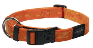 Kaelarihm Rogz Everest 25mm/43-70cm oranž