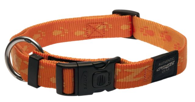 Kaelarihm Rogz Everest 25mm/43-70cm oranž
