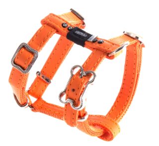 Traksid H Luna XSmall 11mm oranž