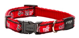 Kaelarihm Rogz Fancy Dress Small 11mm Jellybean, Red Rogz Bone muster