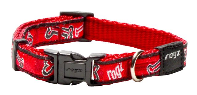 Kaelarihm Rogz Fancy Dress Small 11mm Jellybean, Red Rogz Bone muster