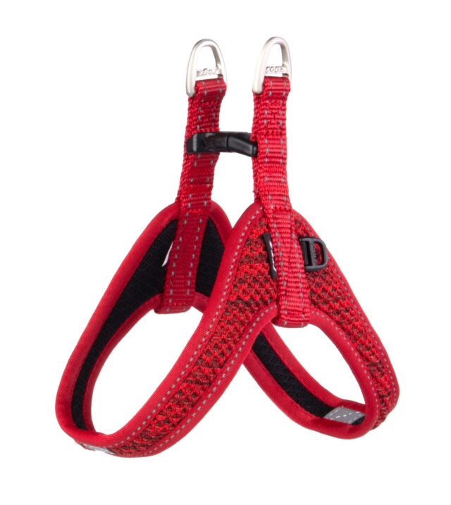 Traksid Rogz Nite Life Fast Fit Tuig S 41cm punane helkur
