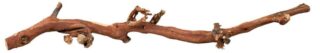 Terraariumi dekoor Viinamarjapuu, L: 40-60 cm