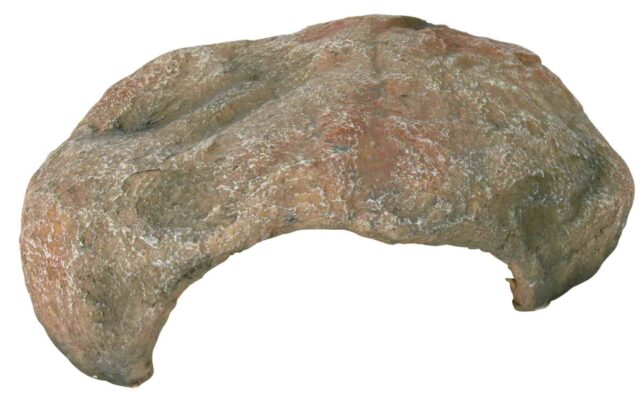 Terraariumi dekoor Koobas roomajatele, 27 × 10 × 22 cm
