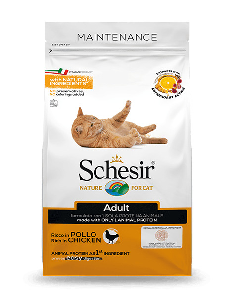 Schesir kanaga 400g kuivtoit kassidele