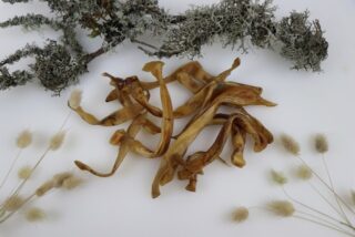 OTTOMAR KOERA MAIUS KUIVATATUD SEAKÕRVA VIILUD 100G