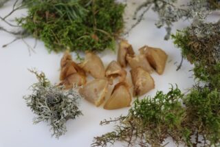 OTTOMAR KOERA MAIUS KUIVATATUD SEASÕRG 60G