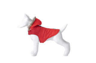 Freedog Abrigo punane jope koerale 40cm