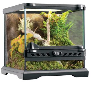 Klaasist terraarium Exo-Terra Natural Terraarium Nano 20x20x20cm PT2599