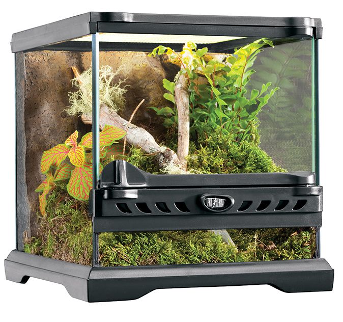 Klaasist terraarium Exo-Terra Natural Terraarium Nano 20x20x20cm PT2599