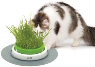 Kassimuru seemned ja muld Catit Senses