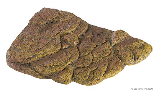 Terraariumi dekoor EXO-TERRA Kilpkonnakalju väike