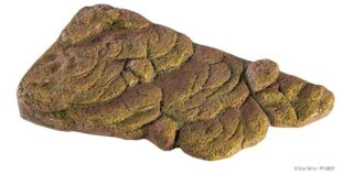 Terraariumi dekoor EXO-TERRA Kilpkonnakalju keskmine