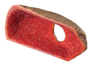 Terraariumi dekoor EXO-TERRA Kristallkoobas Suur PT2868