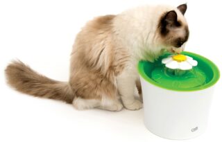 Automaatne jooginõu kassidele Catit 2.0 Flower 3L