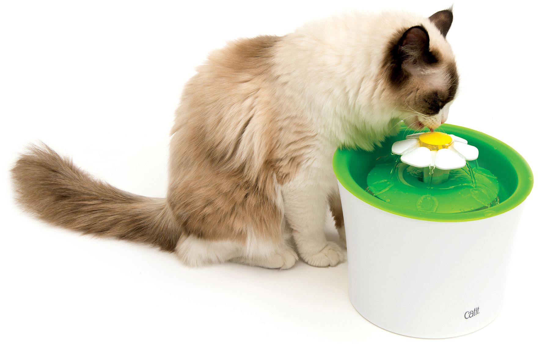 Automaatne jooginõu kassidele Catit 2.0 Flower 3L