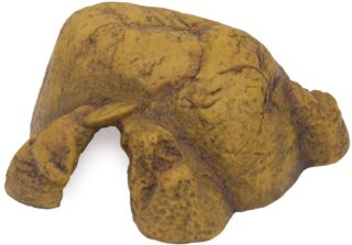 Terraariumi dekoor EXO-TERRA Roomajate koobas M