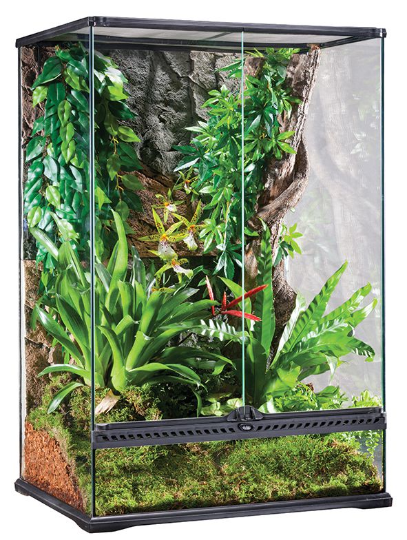 Klaasist terraarium Exo-Terra Paludarium 60 x 45 x 90 cm (PT-2608)
