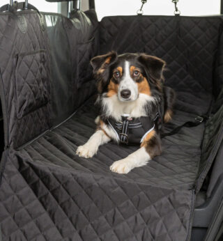 Autoistme kate, 1.64 × 1.61 m, must