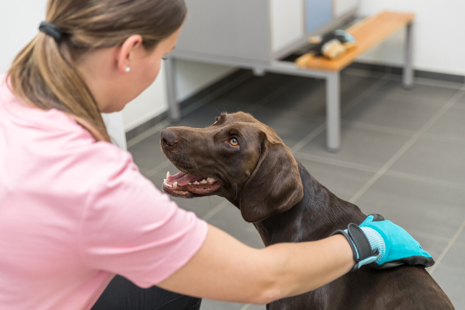 **Karvahoolduskinndad, nailon/kumm 16 x 23 cm